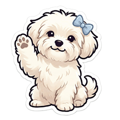 馬爾濟斯犬日記：藍色蝴蝶結小狗