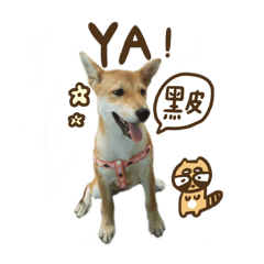 (˶‾᷄ Θ ‾᷅˵)♡(˶‾᷄ Θ ‾᷅˵)♡