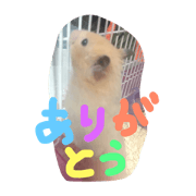 namuchan