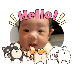LekThaiJP_20260304144257