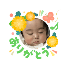 kanikama_20260304123704