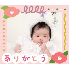 k_20260304125258