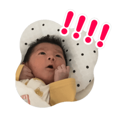 hapitaro_20260304145141