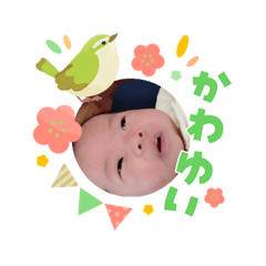 miya_20260304130410