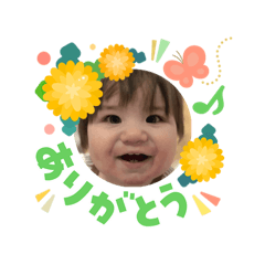 licko_20260304011948