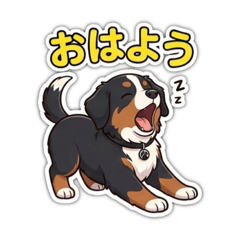 WASABI_20260304012426