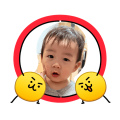 miura_20260304012320