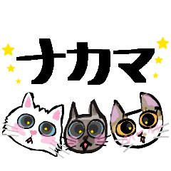 Ririnco_20260304162328