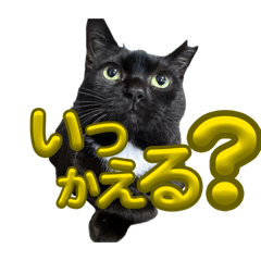 sunta_20260304042012