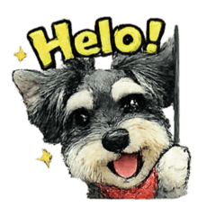 wasen_20260301224031