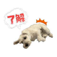 Popomi_20260304181804