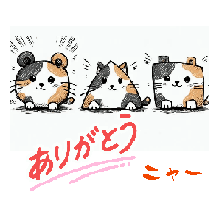 matamata1424_20260304205228