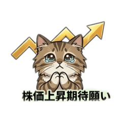 niremu_20260304131055