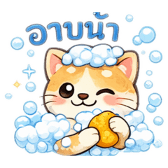 Pinyada love_20260304132924