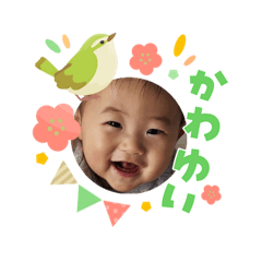 RIHO_20260304135010