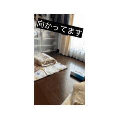 Sasimi_20260305074331