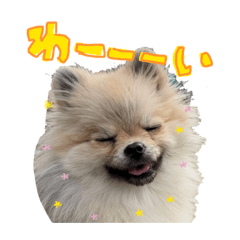 ka-chan_20260304155252