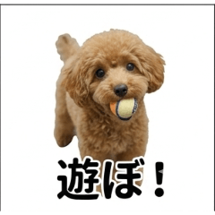 ichiban_20260304203245