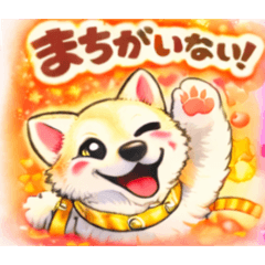 pixy0119_20260304202825