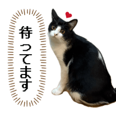 Lanchan_20260304203324