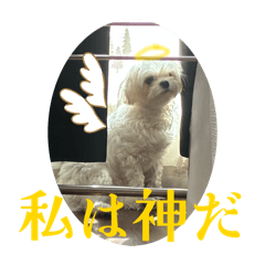 marumaru_20260304203039