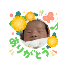 kimkimkim_20260304151177