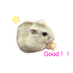 Nozomi_20260304204238