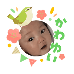 SAKKUN_20260304204148
