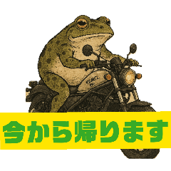 feifon_20260302084505