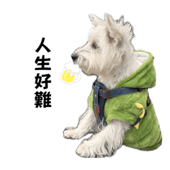 阿壯的廢廢日常