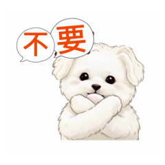 馬爾濟斯答應拒絕