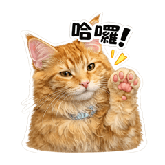 寶貝寵物們～集合嘍