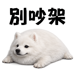 我的刀盾 但是薩摩耶