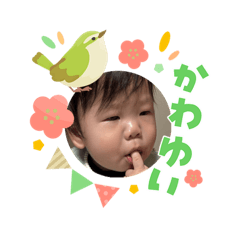 orange_20260304164832