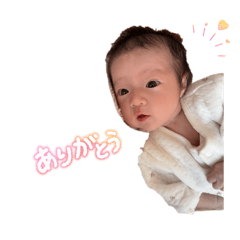 mugi_20260304170302