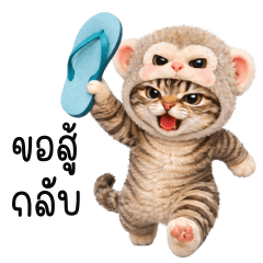 Cat with Japanese Macaque hood! tuatung