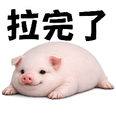 我的刀盾 但是豬