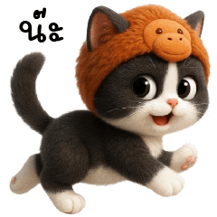 Black&white cat Monkey hat