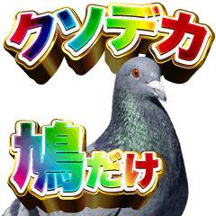 BIG pigeon!!!!!!!!