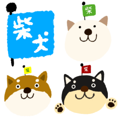 柴犬3兄弟　丁寧語