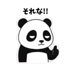 The daily life of a marginal panda