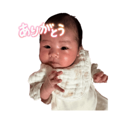 YUZU_20260304180302