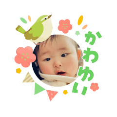 tohru_20260304205145