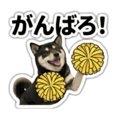 rikuSTAMP003