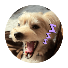 makura_20260304213521