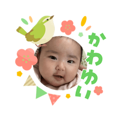 erico_20260304200957