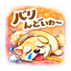 pixy0119_20260304202004