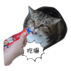 BoBo-狂暴亂吃ver.2.0