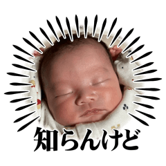 matsu_20260304232640