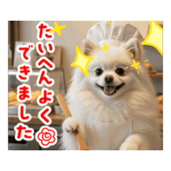 masa_20260305104708